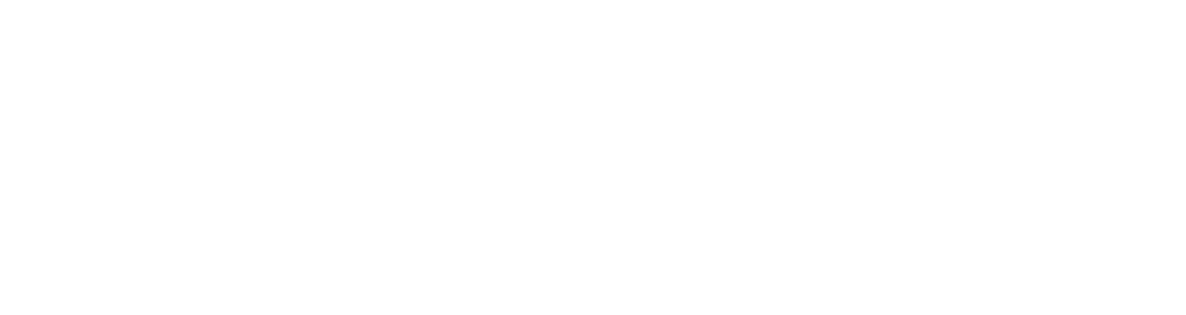 Logo officiel SNØW